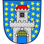 Město Borohrádek – logo společnosti