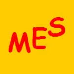 Bedřich Meisel – Mes/elektronika – Servis Meisel – logo společnosti