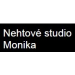 Biharyová Monika - Nehtové studio MONIKA – logo společnosti
