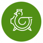 MAVE Jičín, a. s. – logo společnosti