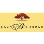 Anenské slatinné lázně a.s. – logo společnosti