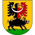 Městský úřad Žamberk – logo společnosti
