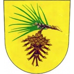 Obecní úřad Bor u Skutče – logo společnosti