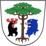 Obec Borovnice okres Trutnov – logo společnosti