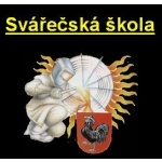 Dopravní vzdělávací institut, a.s. - Svářečská škola Česká Třebová – logo společnosti