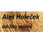 Aleš Holeček – logo společnosti