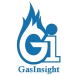 Gasinsight s.r.o. – logo společnosti