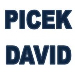 Picek David – logo společnosti