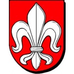 Městský úřad Seč – logo společnosti