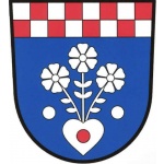 Obec Rychnov na Moravě – logo společnosti
