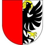 Město Pilníkov – logo společnosti