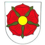 Město Nechanice – logo společnosti