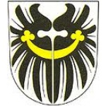 Město Solnice – logo společnosti