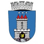 Město Vysoké Veselí – logo společnosti