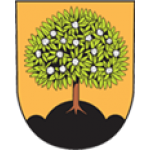 Město Nasavrky – logo společnosti