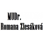 RZ-PRAKTIK s.r.o. – logo společnosti