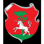 Město Vamberk – logo společnosti