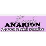 Lišková Synková Dana - Salon Lady Anarion – logo společnosti