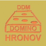 Dům dětí a mládeže Domino Hronov – logo společnosti