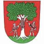 Městský úřad Rokytnice v Orlických horách – logo společnosti