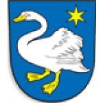 MĚSTO BROUMOV - městská knihovna (pobočka Broumov) – logo společnosti