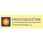 Profeskoučink – logo společnosti