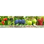 Sady Příkazy Doudleby nad Orlicí – logo společnosti