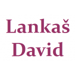 Lankaš David – logo společnosti