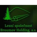Lesní společnost Broumov Holding, a.s. (pobočka Meziměstí) – logo společnosti