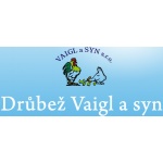 VAIGL A SYN spol. s r.o. (EK) – logo společnosti
