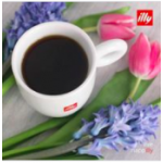 CIBETKA CAFÉ - kavárna a vinotéka Náchod – logo společnosti