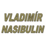 Vladimír Nasibulin – logo společnosti