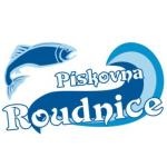 Těžební písková s.r.o. (Svitavy) – logo společnosti