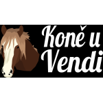 Vendula Burešová – logo společnosti