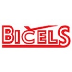 BIČELS SERVIS, s.r.o. – logo společnosti